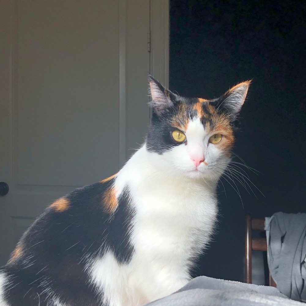 Meet your Posher, Crystal